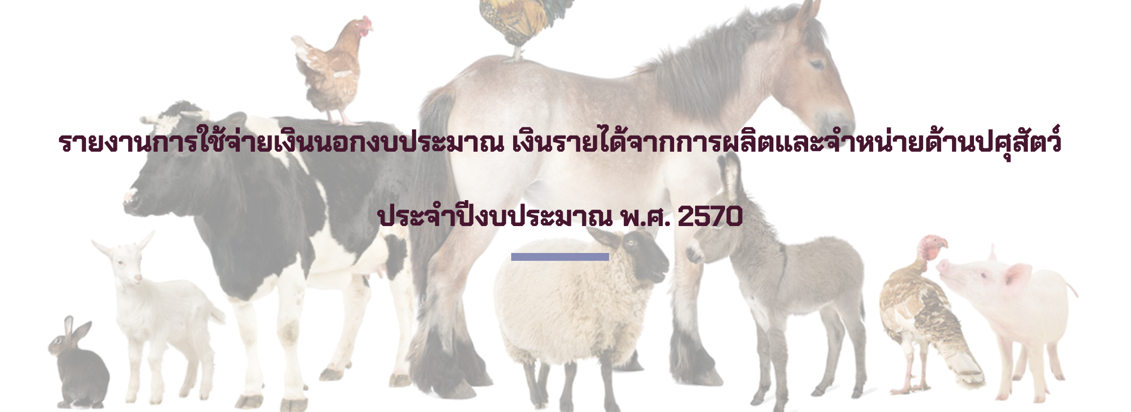 inc2568
