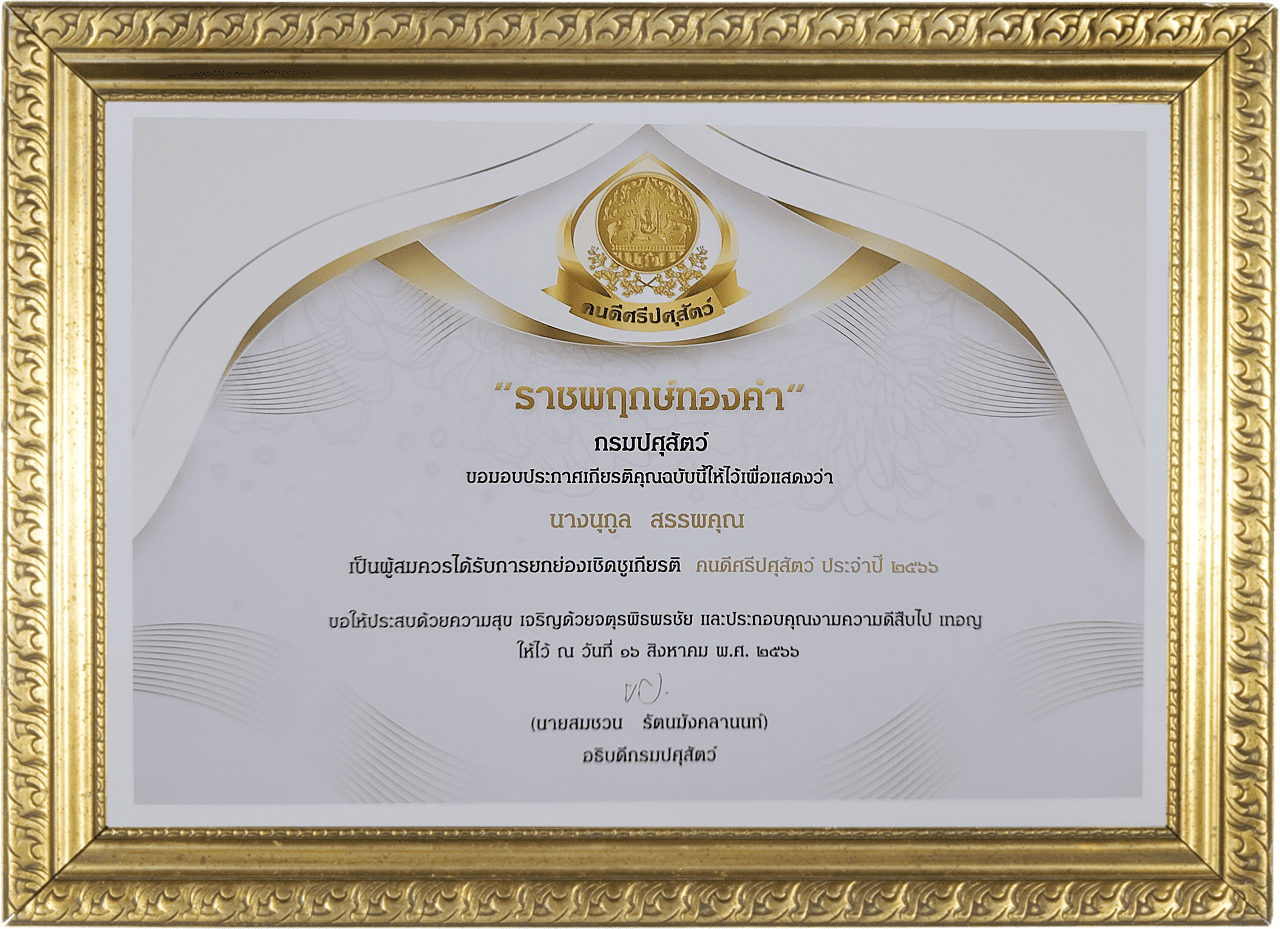 award nukoon 66
